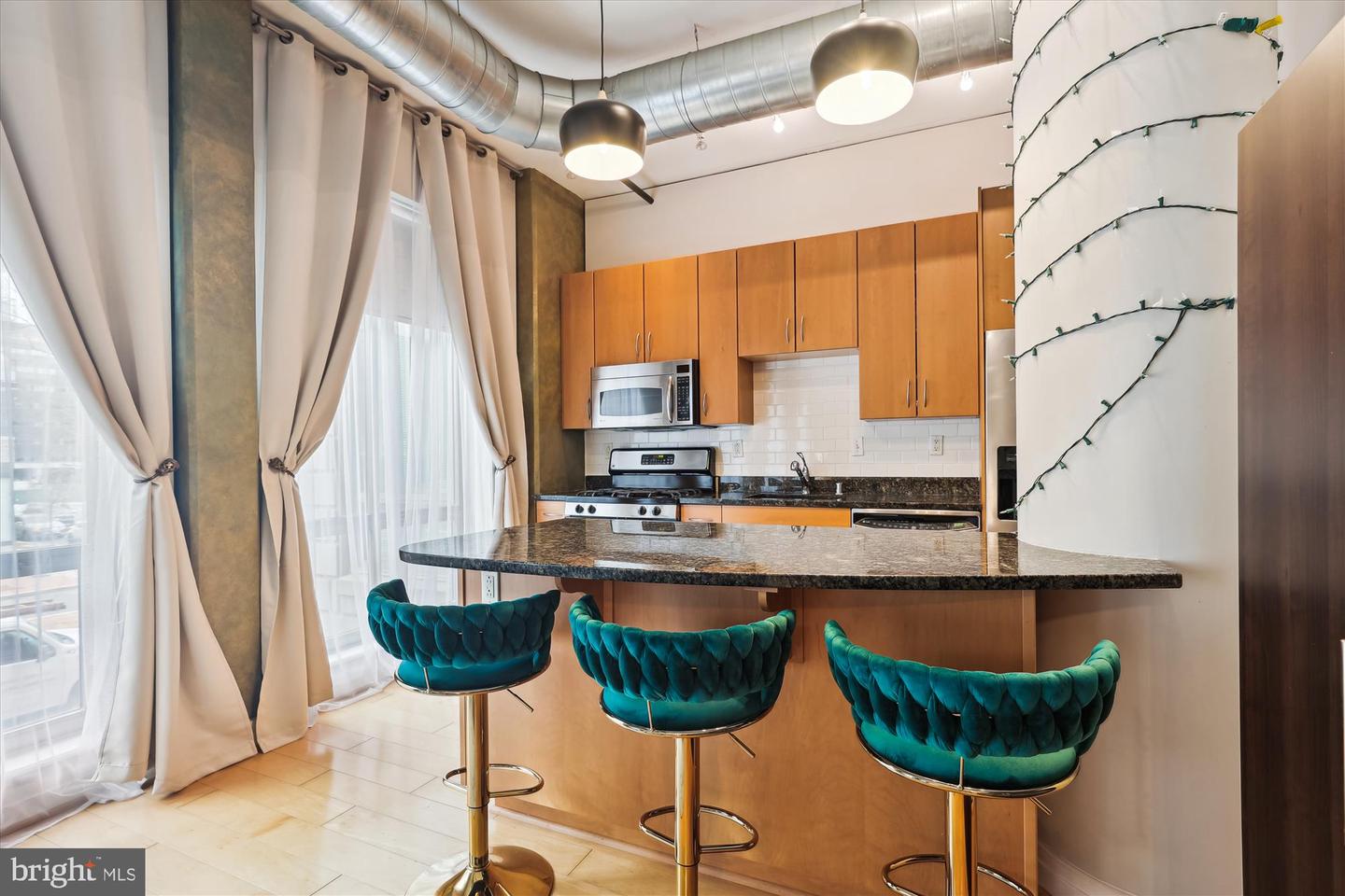 301 MASSACHUSETTS AVE NW #204, WASHINGTON, District Of Columbia 20001, 1 Bedroom Bedrooms, ,1 BathroomBathrooms,Residential,For sale,301 MASSACHUSETTS AVE NW #204,DCDC2175700 MLS # DCDC2175700