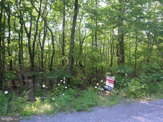 BOBCAT TRL, WINCHESTER, Virginia 22602, ,Land,For sale,BOBCAT TRL,VAFV2023894 MLS # VAFV2023894