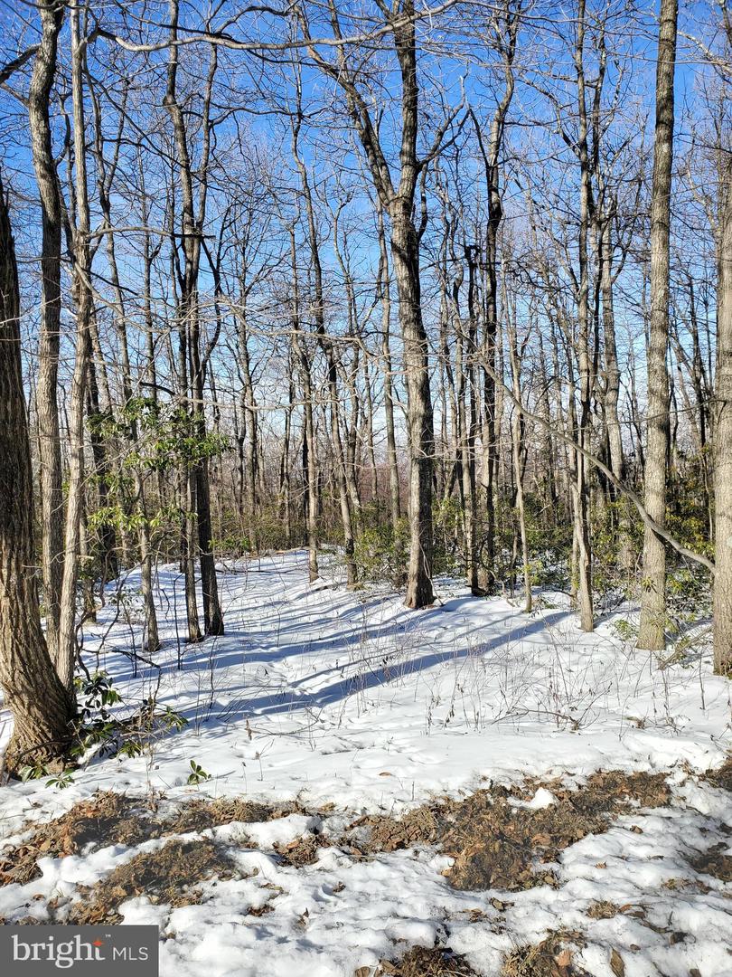 BOBCAT TRL, WINCHESTER, Virginia 22602, ,Land,For sale,BOBCAT TRL,VAFV2023894 MLS # VAFV2023894