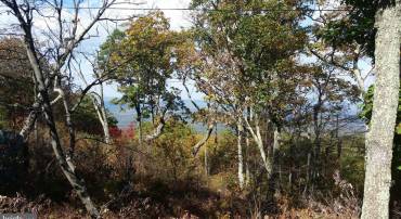 BOBCAT TRL, WINCHESTER, Virginia 22602, ,Land,For sale,BOBCAT TRL,VAFV2023894 MLS # VAFV2023894