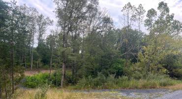 LOT 36A RED HAWK RD, MIDDLETOWN, Virginia 22645, ,Land,For sale,LOT 36A RED HAWK RD,VAWR2010188 MLS # VAWR2010188