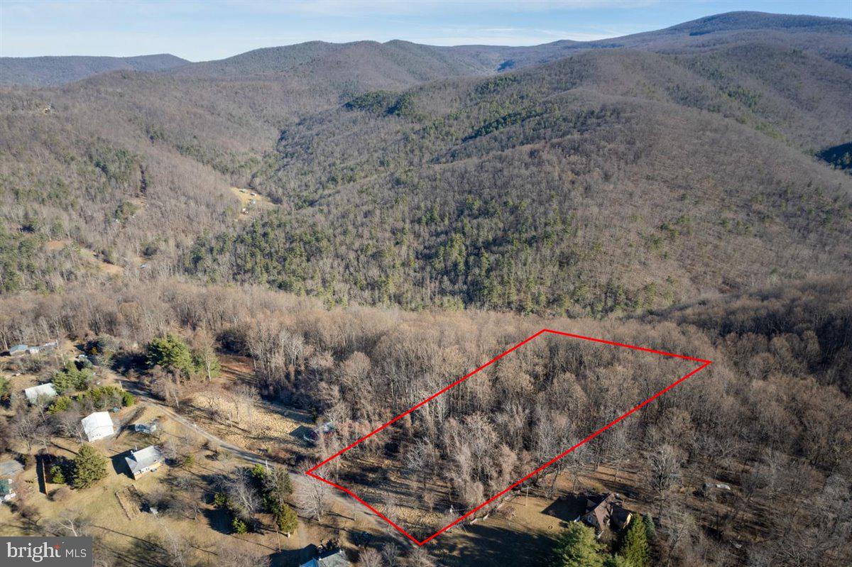 TBD OVERLOOK MOUNTAIN, ELKTON, Virginia 22827, ,Land,For sale,TBD OVERLOOK MOUNTAIN,VAPA2003328 MLS # VAPA2003328