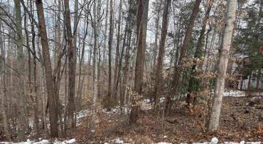 34 HOPI WAY #303, PALMYRA, Virginia 22963, ,Land,For sale,34 HOPI WAY #303,660290 MLS # 660290