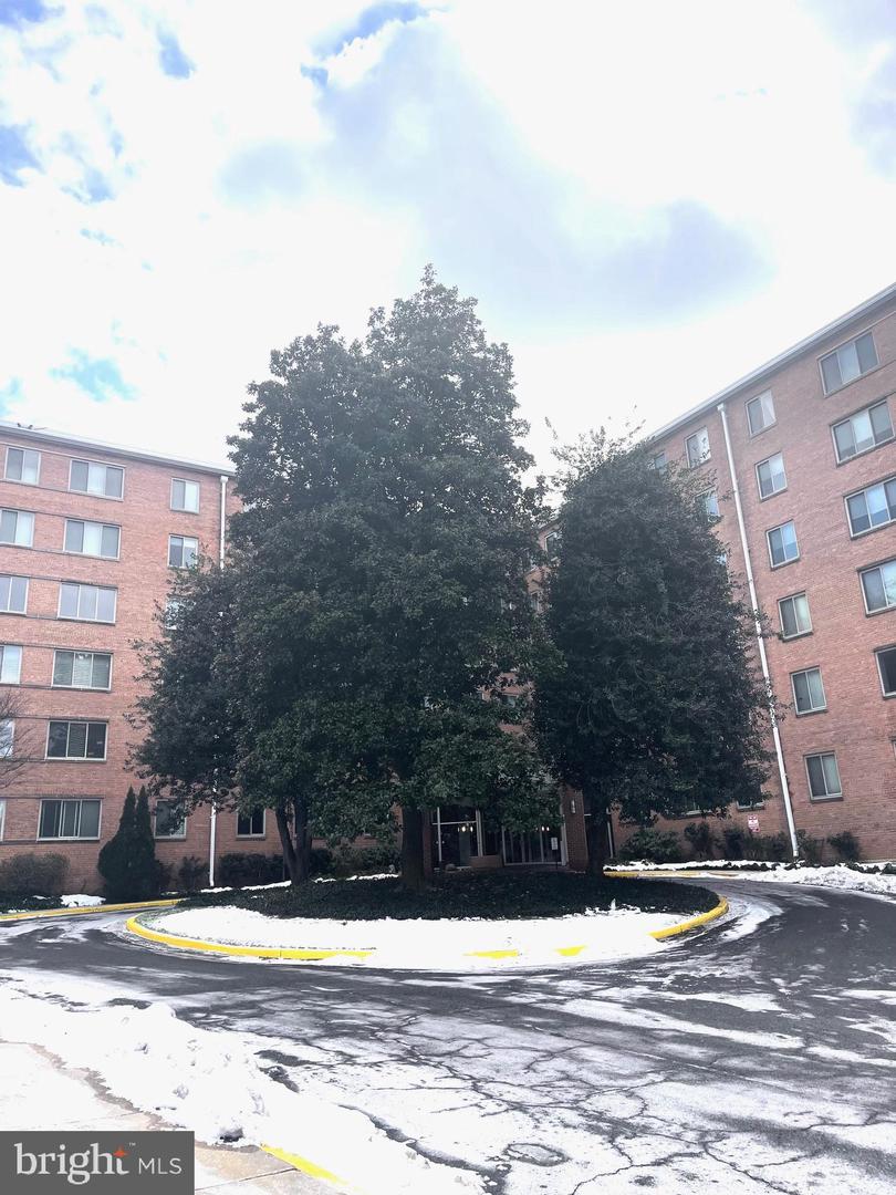 3000 SPOUT RUN PKWY #B507, ARLINGTON, Virginia 22201, 1 Bedroom Bedrooms, ,1 BathroomBathrooms,Residential,For sale,3000 SPOUT RUN PKWY #B507,VAAR2052680 MLS # VAAR2052680