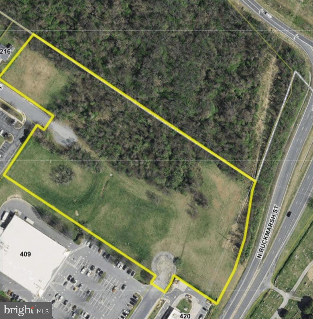 000 MCNEIL DRIVE, BERRYVILLE, Virginia 22611, ,Land,For sale,000 MCNEIL DRIVE,VACL2003410 MLS # VACL2003410