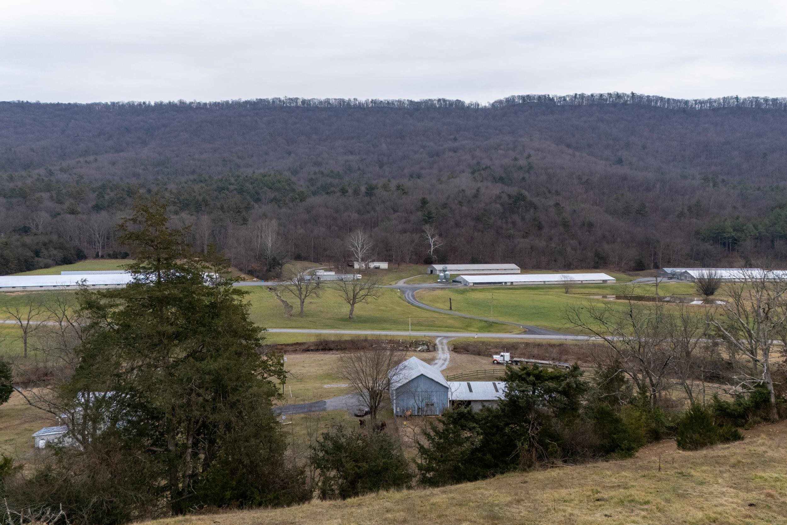 15745 RUNIONS CREEK RD, BROADWAY, Virginia 22815, 3 Bedrooms Bedrooms, ,2 BathroomsBathrooms,Residential,15745 RUNIONS CREEK RD,660331 MLS # 660331