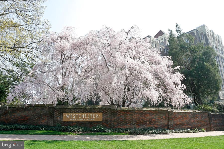 4000 CATHEDRAL AVE NW #626B, WASHINGTON, District Of Columbia 20016, 1 Bedroom Bedrooms, ,1 BathroomBathrooms,Residential,For sale,4000 CATHEDRAL AVE NW #626B,DCDC2176168 MLS # DCDC2176168