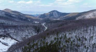 TBD CUBBAGE HOLLOW RD, STANLEY, Virginia 22851, ,Land,TBD CUBBAGE HOLLOW RD,660351 MLS # 660351