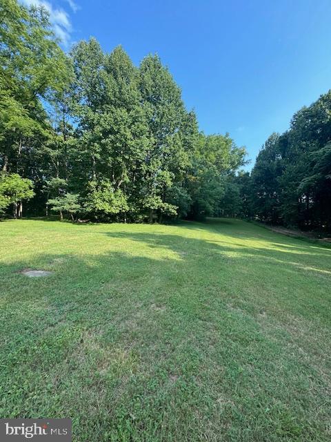 22033 CEDAR TREE LN, RAPIDAN, Virginia 22733, 3 Bedrooms Bedrooms, ,2 BathroomsBathrooms,Residential,For sale,22033 CEDAR TREE LN,VACU2009644 MLS # VACU2009644