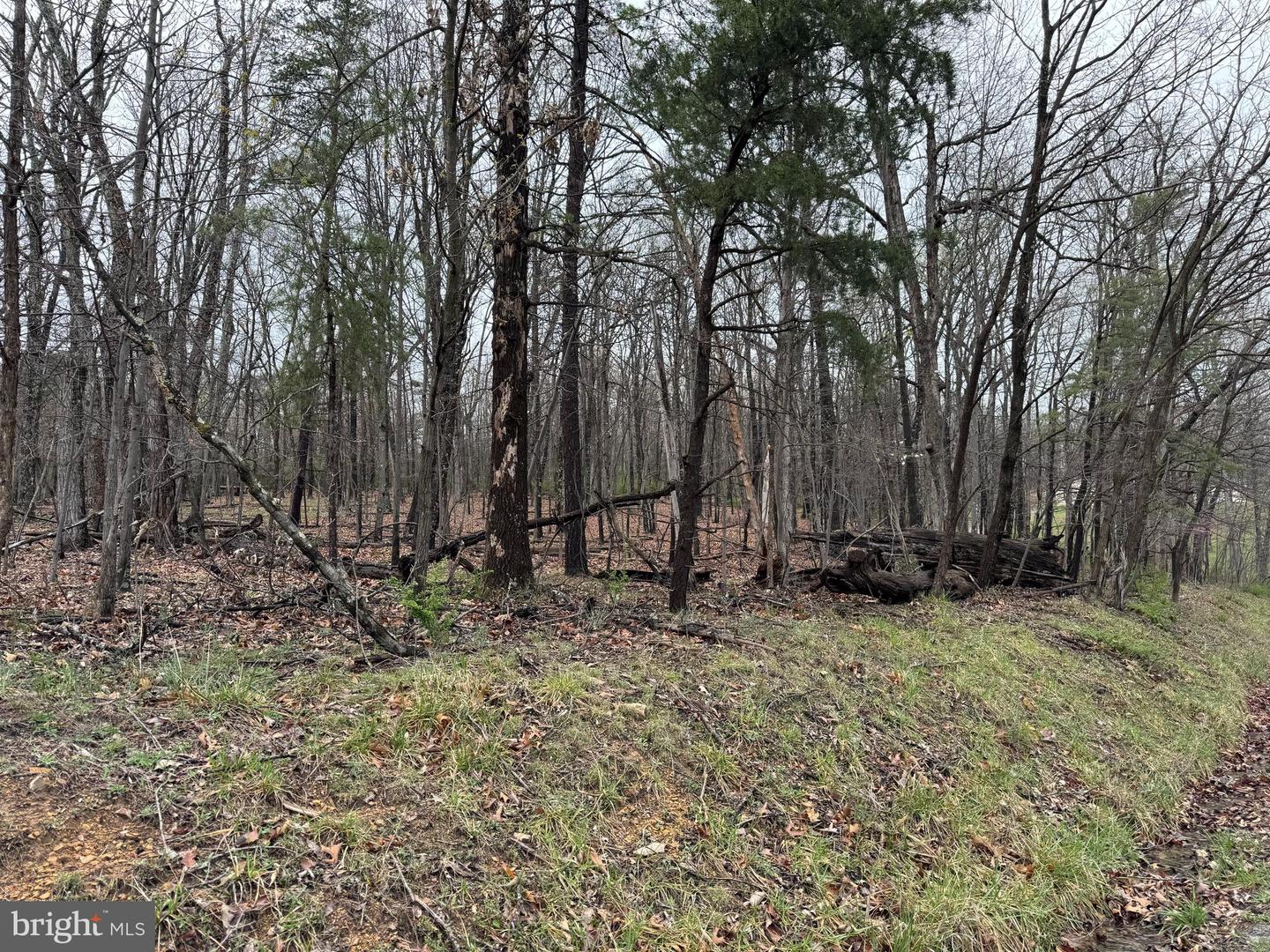 LOT 13 SAWMILL DR, GORE, Virginia 22637, ,Land,For sale,LOT 13 SAWMILL DR,VAFV2023948 MLS # VAFV2023948
