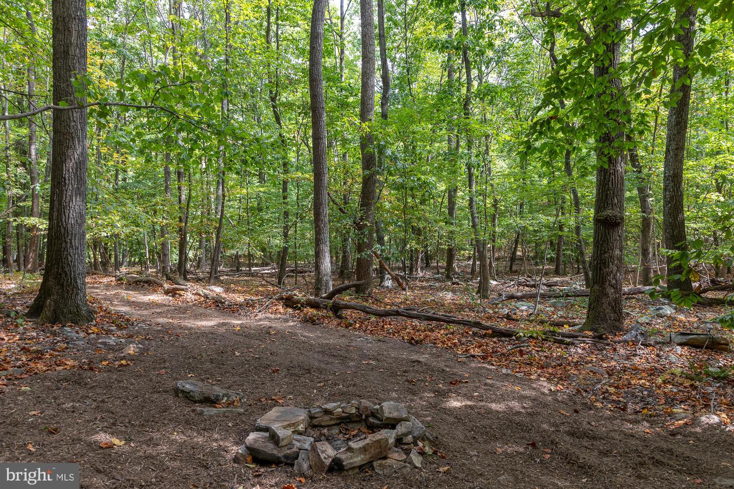 BULL RUN MOUNTAIN RD, THE PLAINS, Virginia 20198, ,Land,For sale,BULL RUN MOUNTAIN RD,VAFQ2015278 MLS # VAFQ2015278