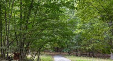 BULL RUN MOUNTAIN RD, THE PLAINS, Virginia 20198, ,Land,For sale,BULL RUN MOUNTAIN RD,VAFQ2015278 MLS # VAFQ2015278