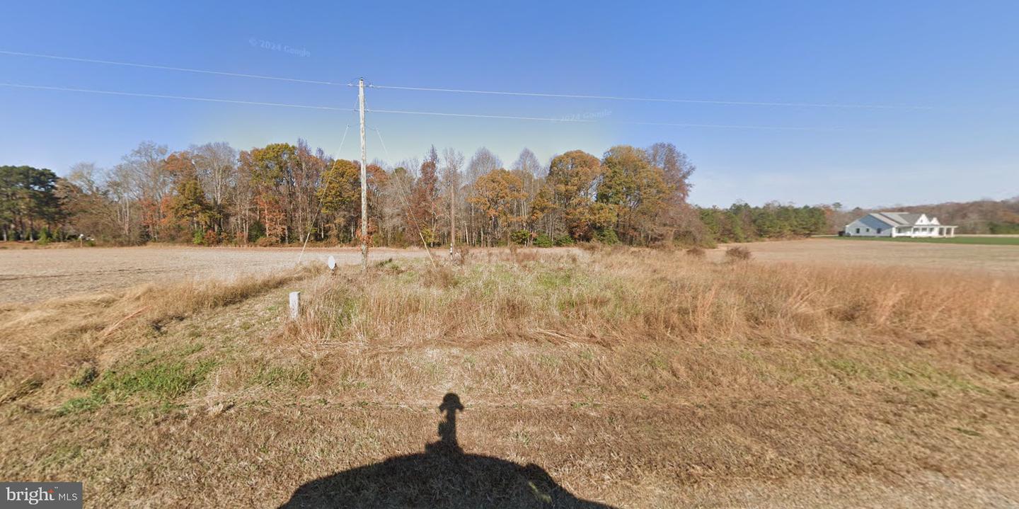 THE HOOK RD, WARSAW, Virginia 22572, ,Land,For sale,THE HOOK RD,VARV2000436 MLS # VARV2000436