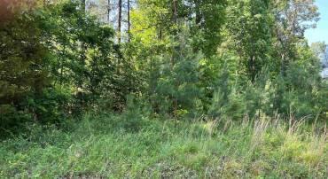 LOT A 6 TYE RIVER RD #91 A6, TYE RIVER, Virginia 22922, ,Land,For sale,LOT A 6 TYE RIVER RD #91 A6,642979 MLS # 642979