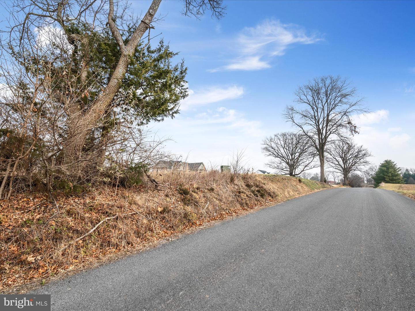 CARTERS LN, STEPHENS CITY, Virginia 22655, ,Land,For sale,CARTERS LN,VAFV2023490 MLS # VAFV2023490