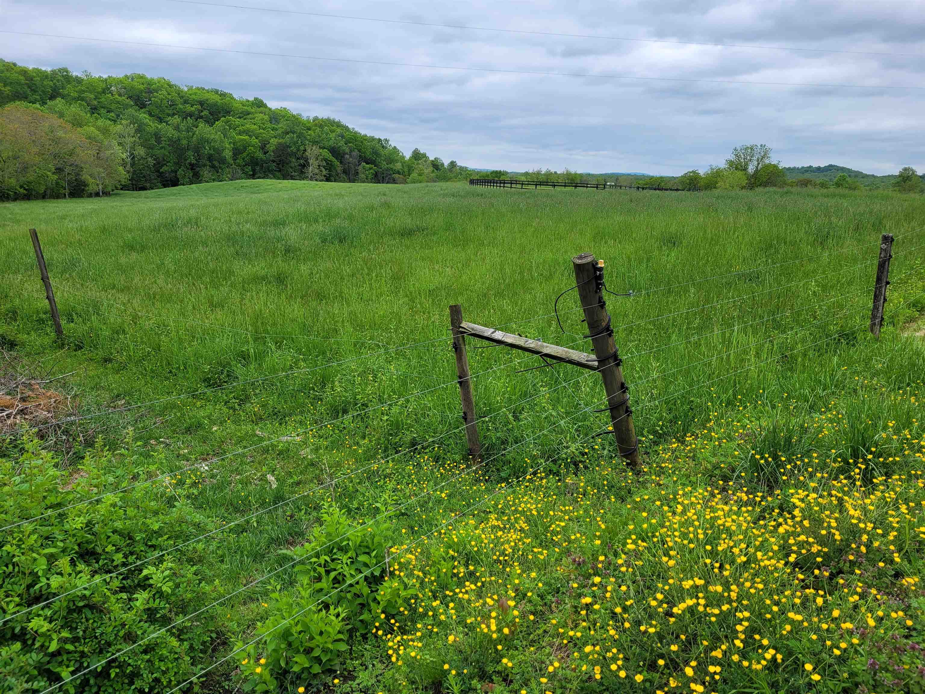 FARMVIEW RD, STANARDSVILLE, Virginia 22973, ,Land,FARMVIEW RD,660457 MLS # 660457