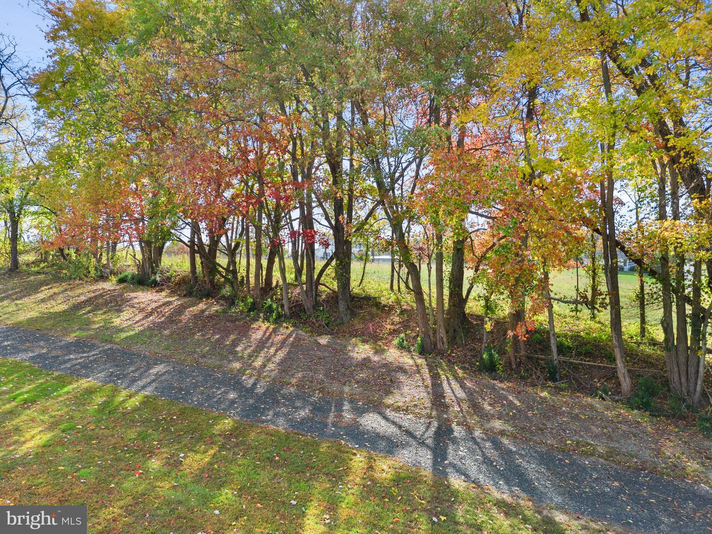 7035 LEEDS MANOR RD, MARSHALL, Virginia 20115, ,Land,For sale,7035 LEEDS MANOR RD,VAFQ2010488 MLS # VAFQ2010488