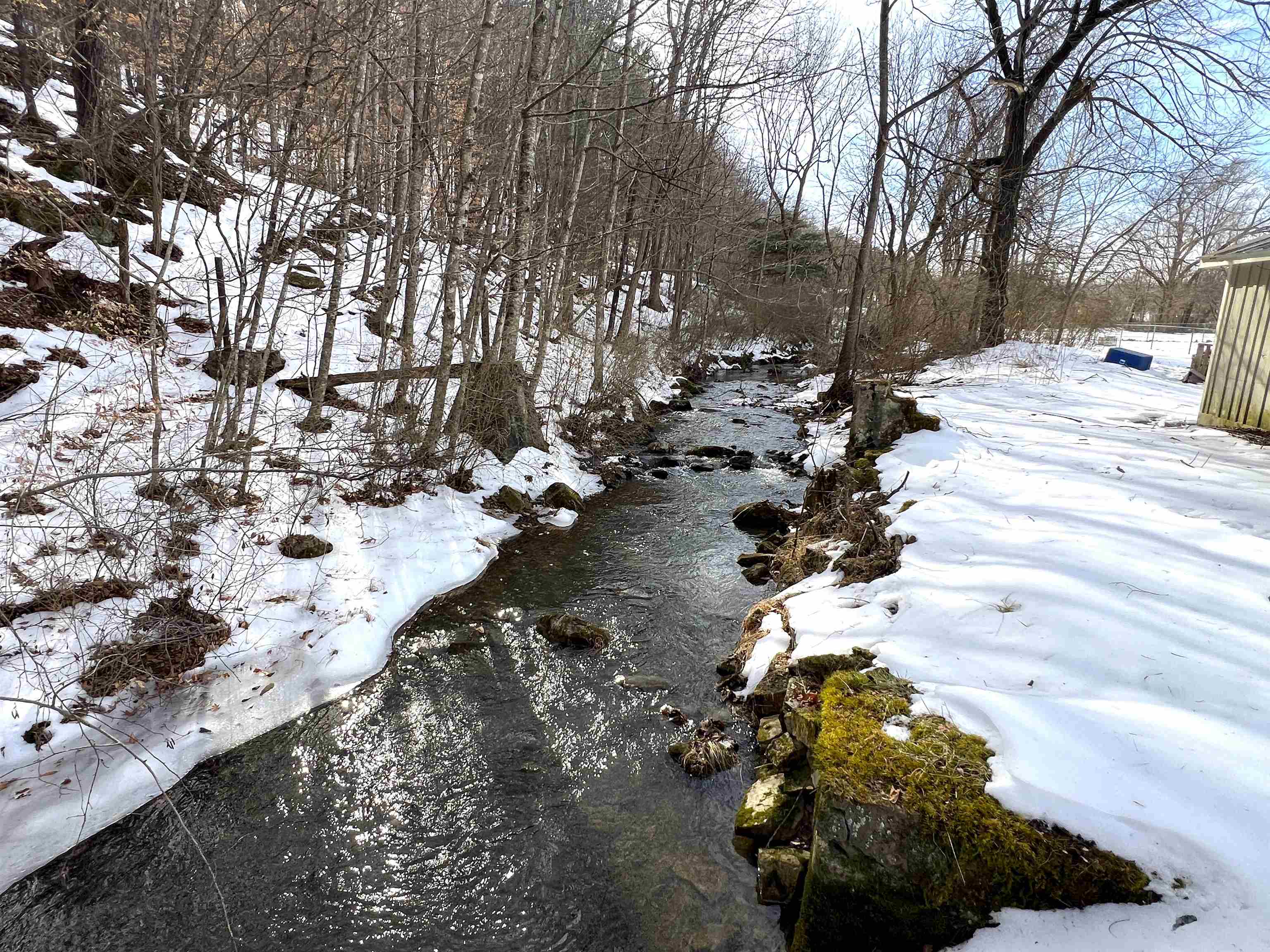 Grassy Run Creek