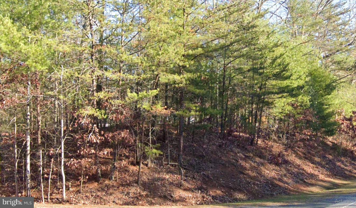 0 BLUE RIDGE LN, MONROE, Virginia 24574, ,Land,For sale,0 BLUE RIDGE LN,VAAH2000066 MLS # VAAH2000066