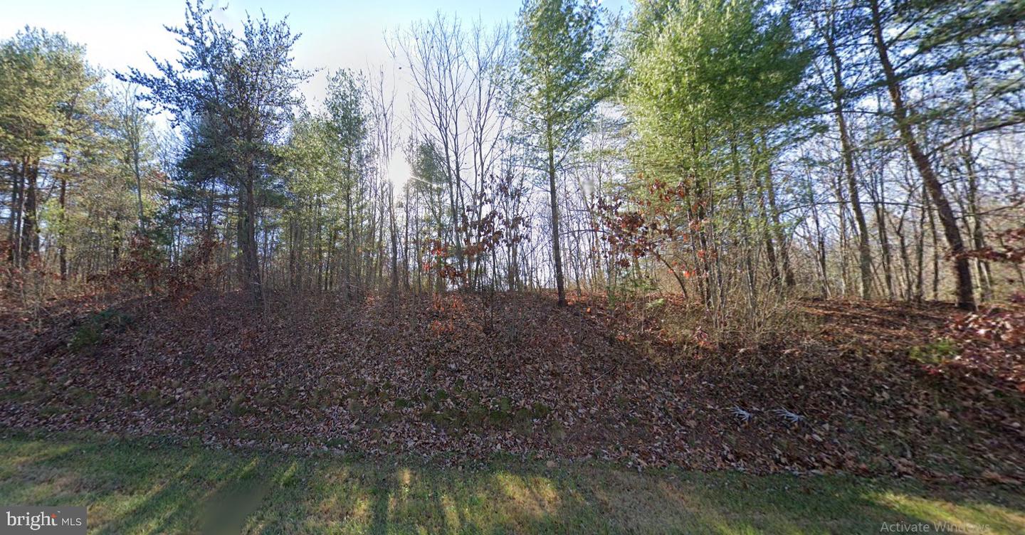 0 BLUE RIDGE LN, MONROE, Virginia 24574, ,Land,For sale,0 BLUE RIDGE LN,VAAH2000066 MLS # VAAH2000066