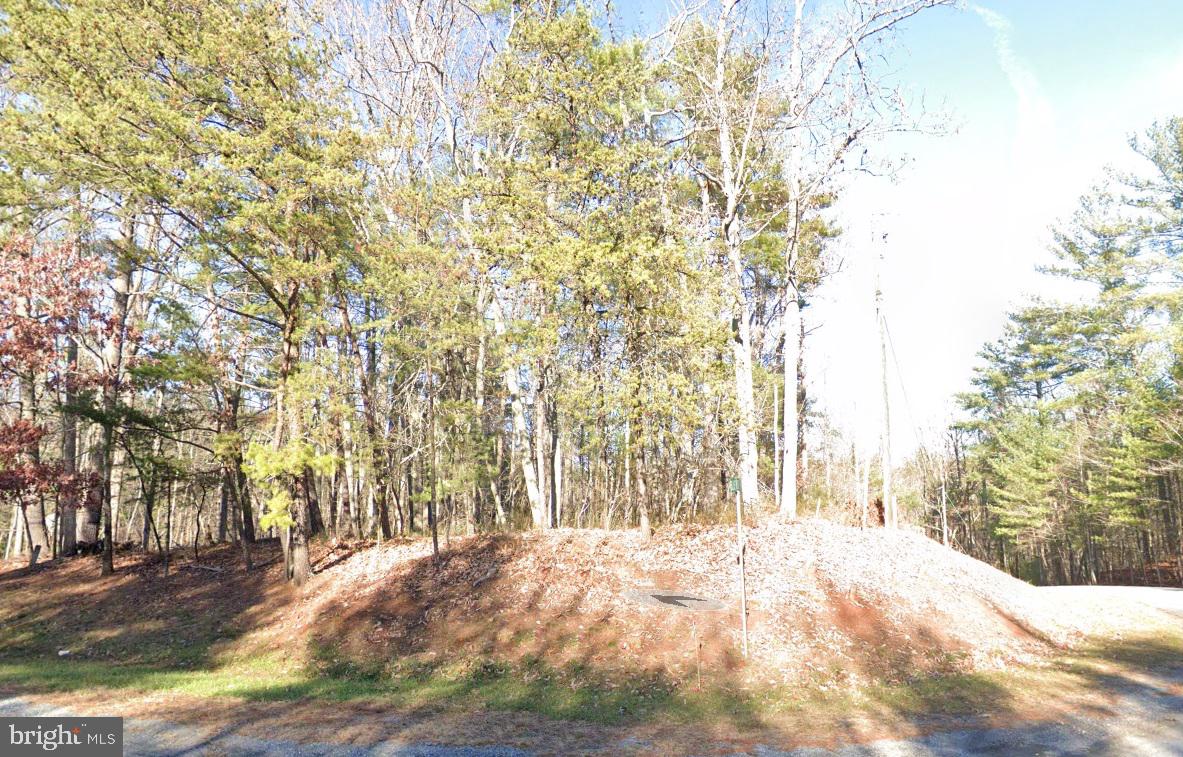 0 BLUE RIDGE LN, MONROE, Virginia 24574, ,Land,For sale,0 BLUE RIDGE LN,VAAH2000066 MLS # VAAH2000066