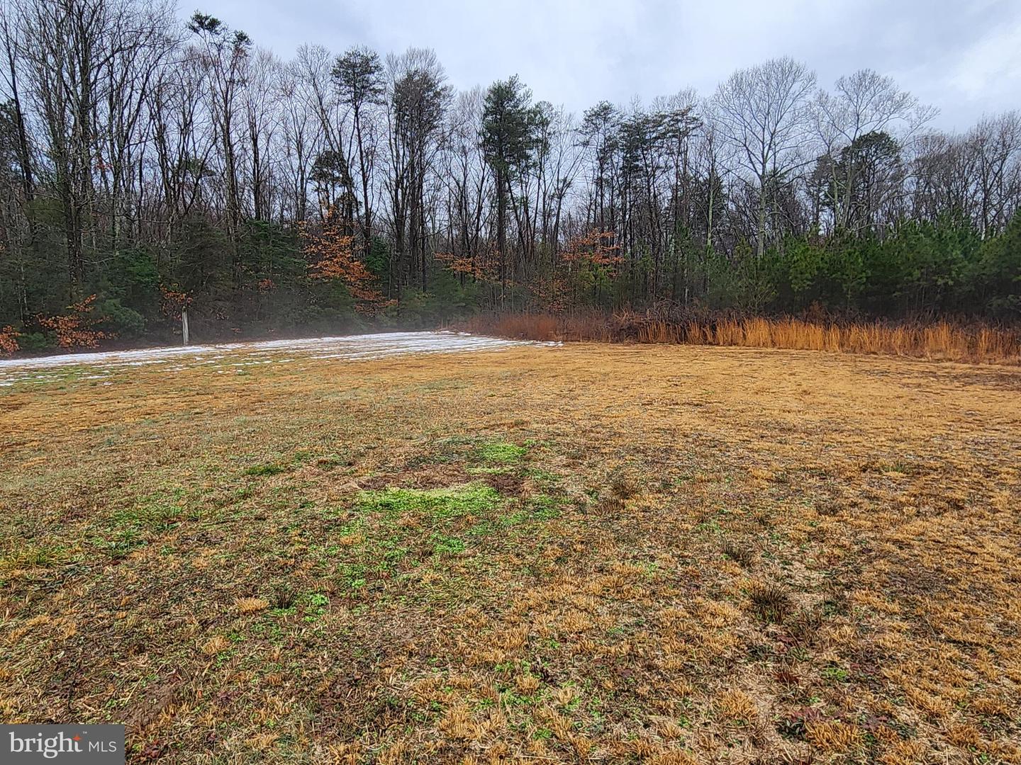 316 TURKEY TROT RD, WARSAW, Virginia 22572, ,Land,For sale,316 TURKEY TROT RD,VARV2000424 MLS # VARV2000424