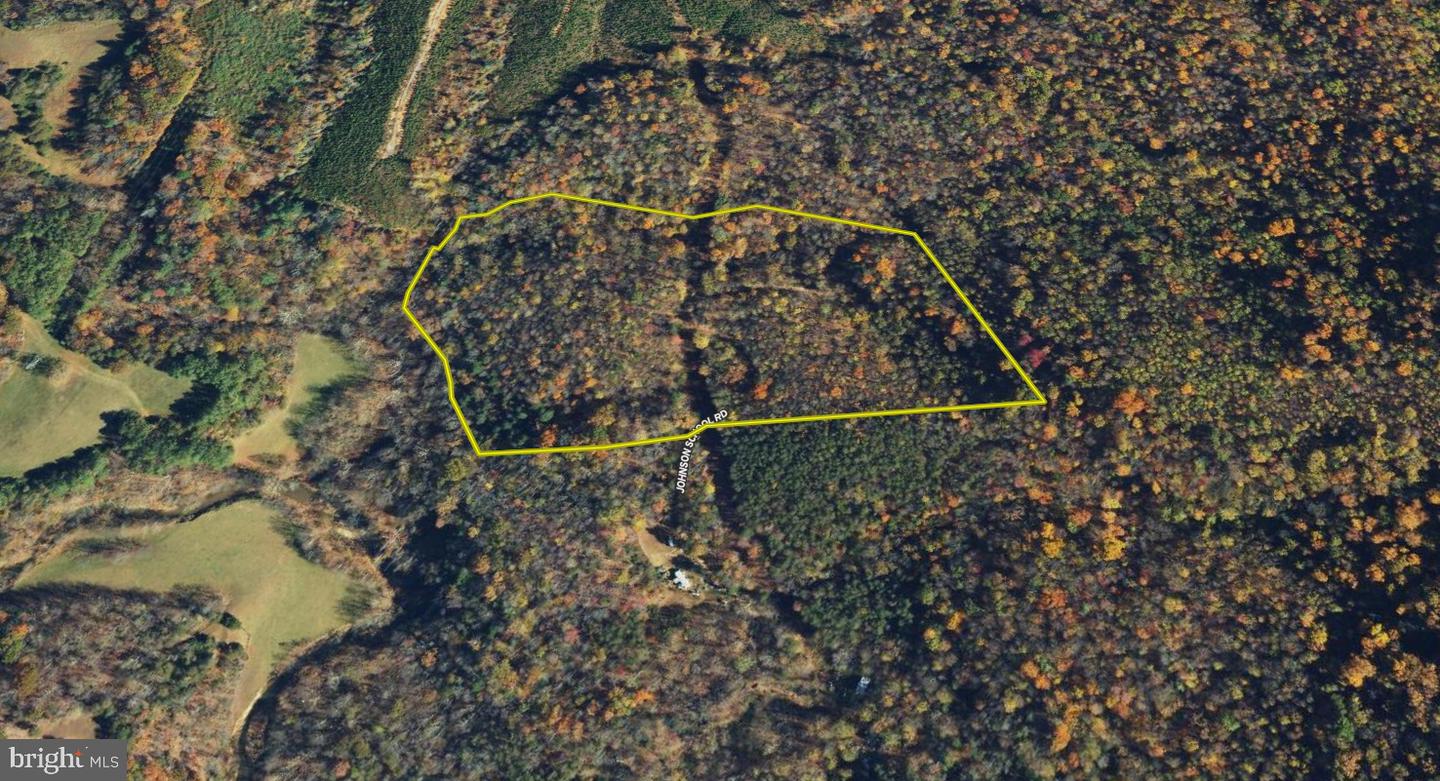 00 JOHNSON SCHOOL RD, THAXTON, Virginia 24174, ,Land,For sale,00 JOHNSON SCHOOL RD,VABV2000182 MLS # VABV2000182