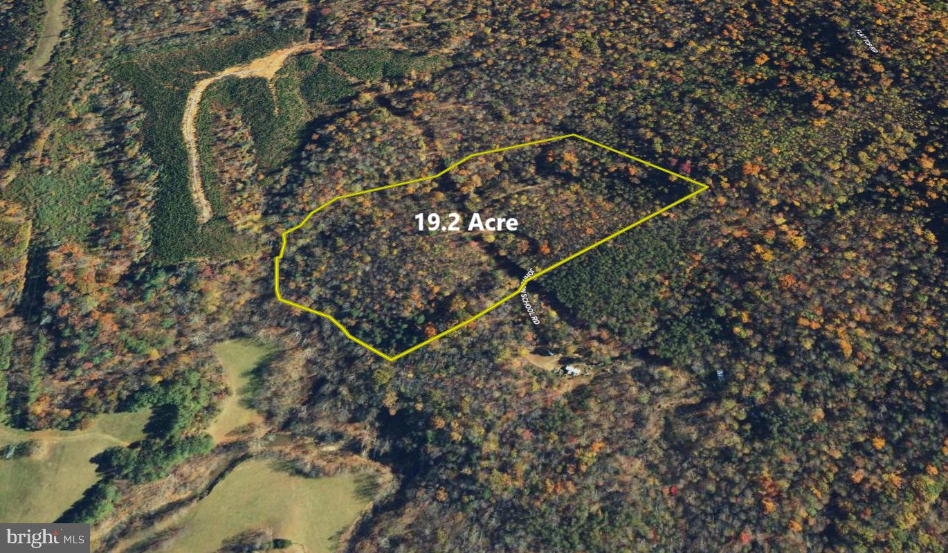 00 JOHNSON SCHOOL RD, THAXTON, Virginia 24174, ,Land,For sale,00 JOHNSON SCHOOL RD,VABV2000182 MLS # VABV2000182