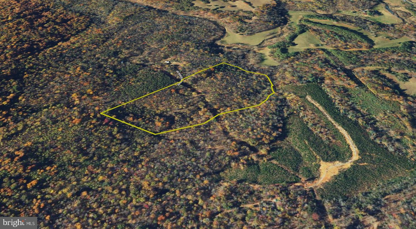 00 JOHNSON SCHOOL RD, THAXTON, Virginia 24174, ,Land,For sale,00 JOHNSON SCHOOL RD,VABV2000182 MLS # VABV2000182