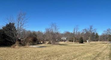 133 PAINTERS WOODS RD, LURAY, Virginia 22835, ,Land,For sale,133 PAINTERS WOODS RD,VAPA2004402 MLS # VAPA2004402