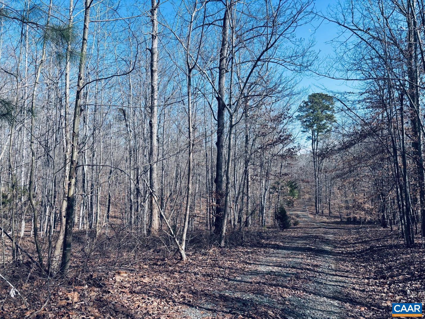 TBD RUNNING DEER DR #PARCEL A AS SHOWN ON, KESWICK, Virginia 22947, ,Land,For sale,TBD RUNNING DEER DR #PARCEL A AS SHOWN ON,660531 MLS # 660531