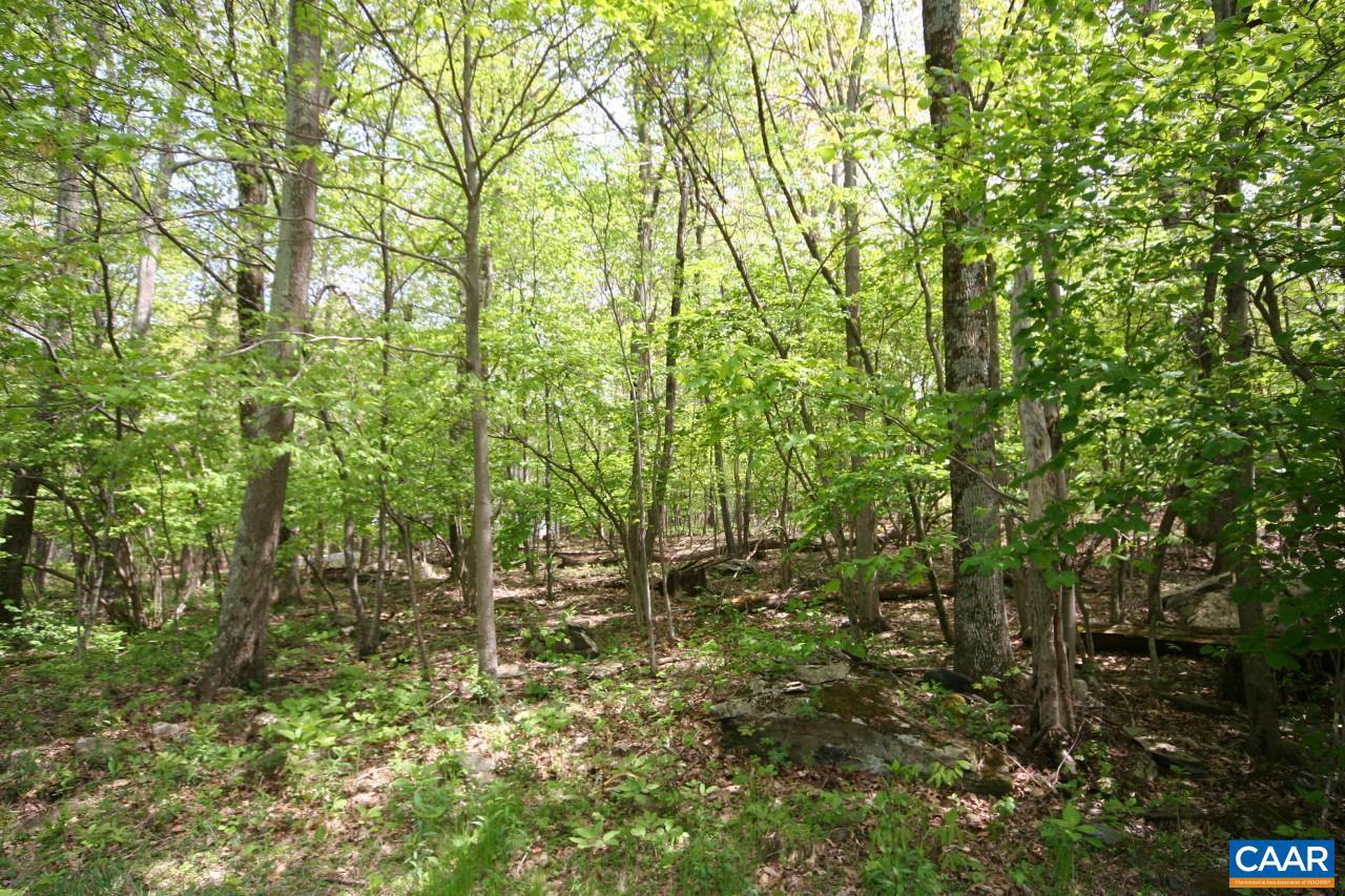 1247 BLUE RIDGE DR #LOT 41, ROSELAND, Virginia 22958, ,Land,For sale,1247 BLUE RIDGE DR #LOT 41,623074 MLS # 623074