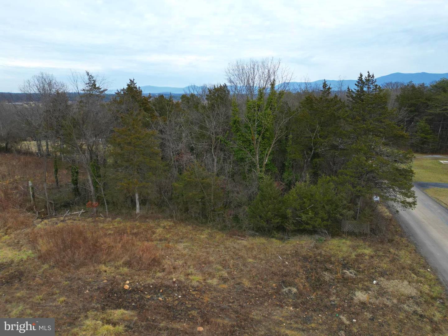 LOT B37 PARK VIEW DR, LURAY, Virginia 22835, ,Land,For sale,LOT B37 PARK VIEW DR,VAPA2004378 MLS # VAPA2004378