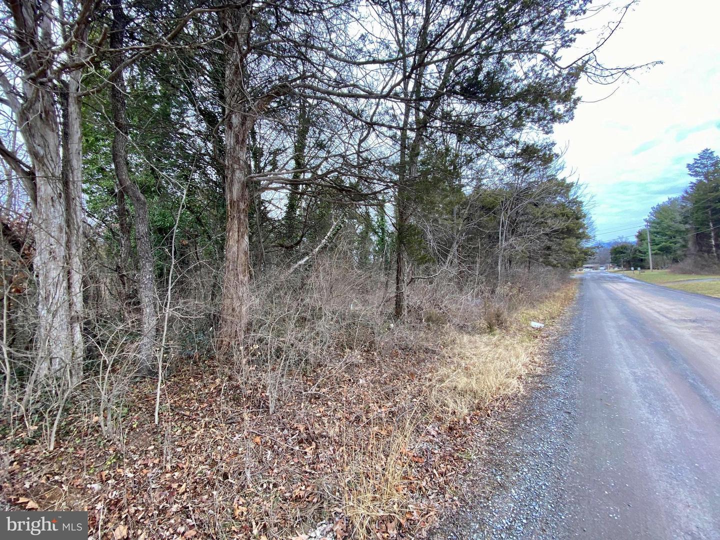 LOT B37 PARK VIEW DR, LURAY, Virginia 22835, ,Land,For sale,LOT B37 PARK VIEW DR,VAPA2004378 MLS # VAPA2004378