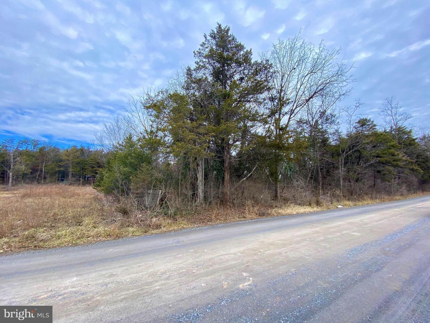 LOT B37 PARK VIEW DR, LURAY, Virginia 22835, ,Land,For sale,LOT B37 PARK VIEW DR,VAPA2004378 MLS # VAPA2004378