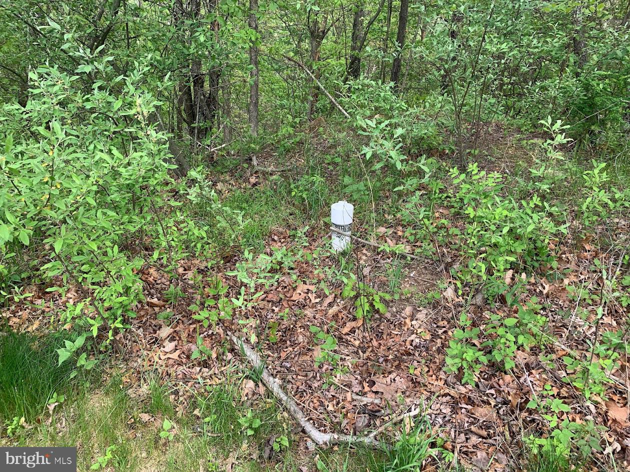 LOT #184 SLEIGH, CROSS JUNCTION, Virginia 22625, ,Land,For sale,LOT #184 SLEIGH,VAFV2024210 MLS # VAFV2024210