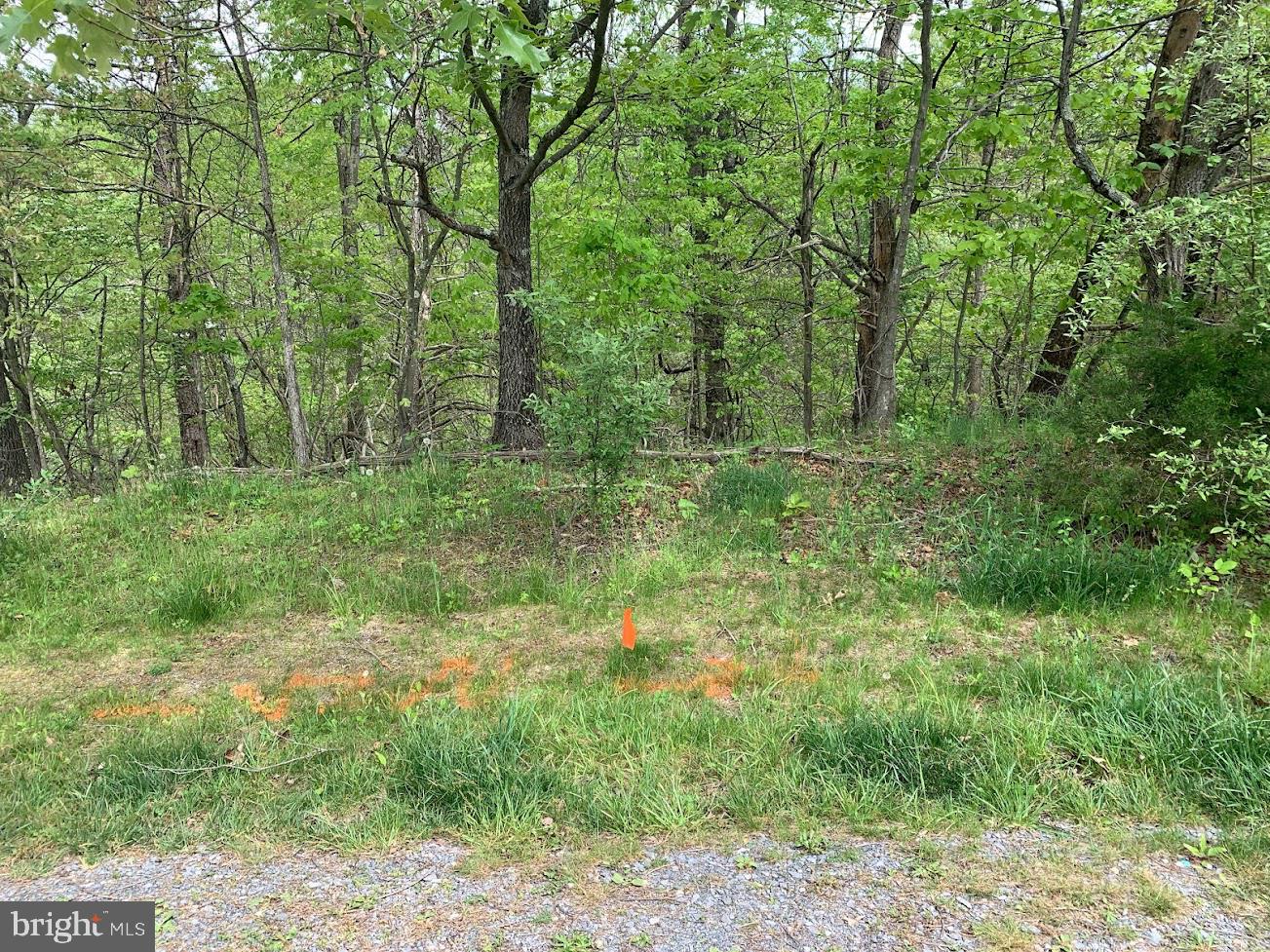 LOT #184 SLEIGH, CROSS JUNCTION, Virginia 22625, ,Land,For sale,LOT #184 SLEIGH,VAFV2024210 MLS # VAFV2024210