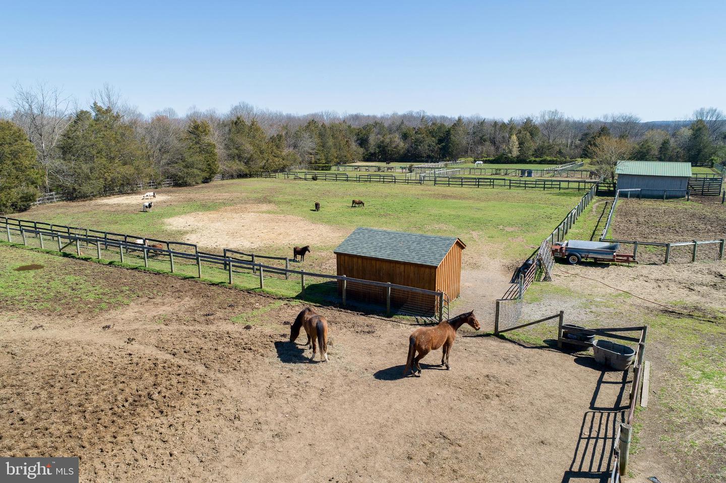 23329 SOMERVILLE RD, MITCHELLS, Virginia 22729, 5 Bedrooms Bedrooms, ,5 BathroomsBathrooms,Farm,For sale,23329 SOMERVILLE RD,VACU2007200 MLS # VACU2007200