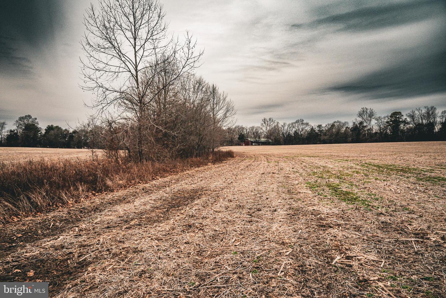 TBD ELLIS RD, LIGNUM, Virginia 22726, ,Farm,For sale,TBD ELLIS RD,VACU2009722 MLS # VACU2009722