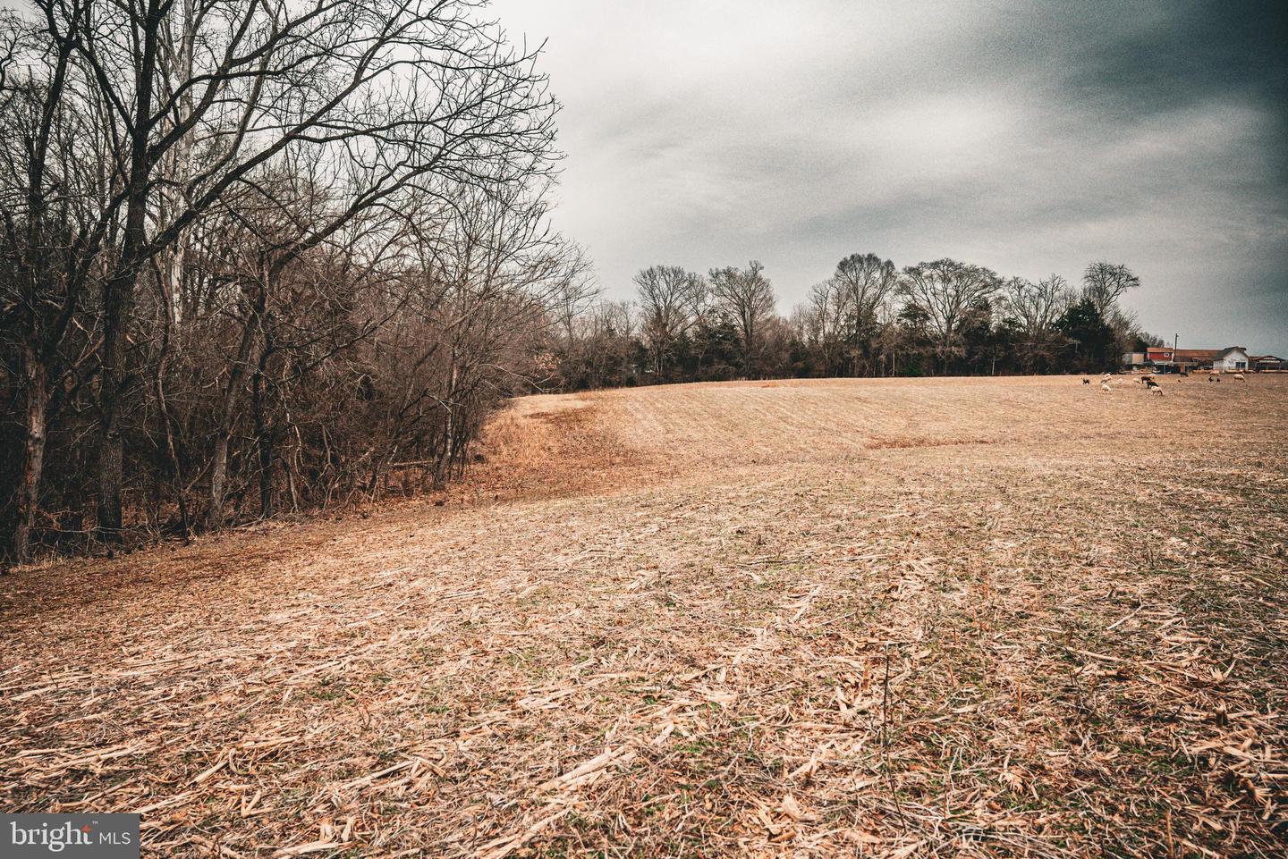 TBD ELLIS RD, LIGNUM, Virginia 22726, ,Farm,For sale,TBD ELLIS RD,VACU2009722 MLS # VACU2009722