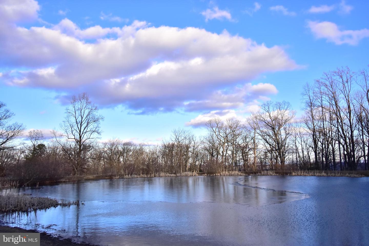 LOT 17 FOX TRAIL, WINCHESTER, Virginia 22602, ,Land,For sale,LOT 17 FOX TRAIL,VAFV2012058 MLS # VAFV2012058