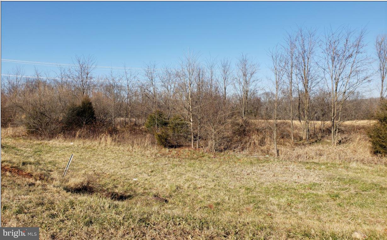 E CHANDLER ST, CULPEPER, Virginia 22701, ,Land,For sale,E CHANDLER ST,VACU2009704 MLS # VACU2009704