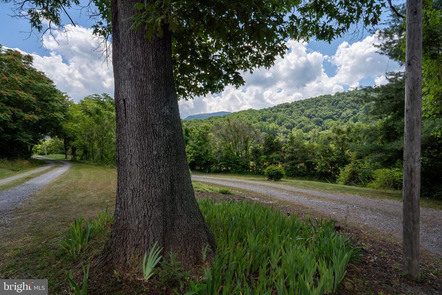 262 S PINEY MOUNTAIN DR, STANLEY, Virginia 22851, 3 Bedrooms Bedrooms, ,2 BathroomsBathrooms,Residential,For sale,262 S PINEY MOUNTAIN DR,VAPA2004408 MLS # VAPA2004408