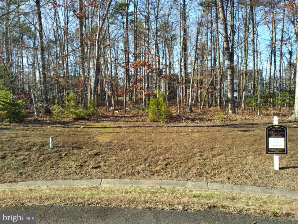 11507 STONEWOOD CT, SPOTSYLVANIA, Virginia 22551, ,Land,For sale,11507 STONEWOOD CT,VASP2028322 MLS # VASP2028322