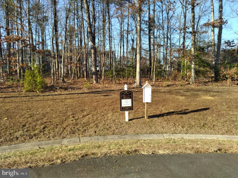 11507 STONEWOOD CT, SPOTSYLVANIA, Virginia 22551, ,Land,For sale,11507 STONEWOOD CT,VASP2028322 MLS # VASP2028322