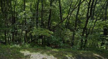 DELORIS, BASYE, Virginia 22810, ,Land,For sale,DELORIS,VASH2010582 MLS # VASH2010582