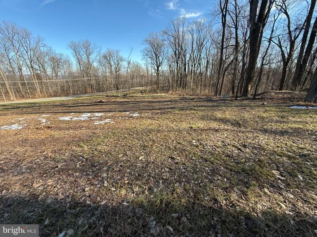 13475 TAYLORSTOWN RD, LEESBURG, Virginia 20176, ,Land,For sale,13475 TAYLORSTOWN RD,VALO2087950 MLS # VALO2087950