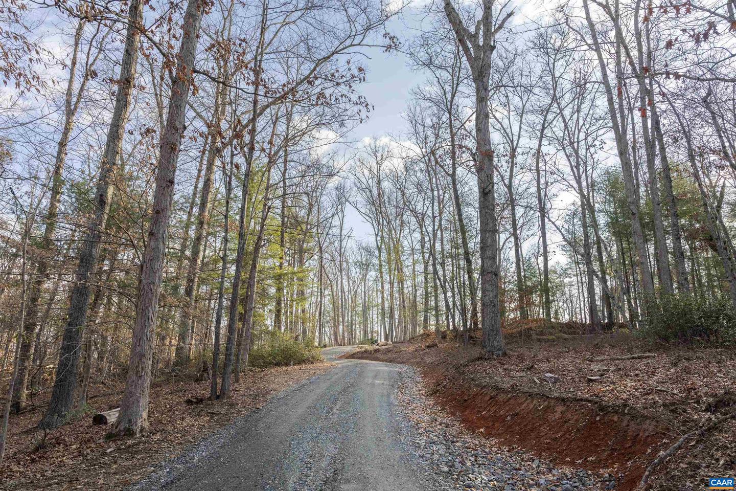 PARCEL 54 FREE UNION RD, CHARLOTTESVILLE, Virginia 22901, ,Land,For sale,PARCEL 54 FREE UNION RD,660679 MLS # 660679