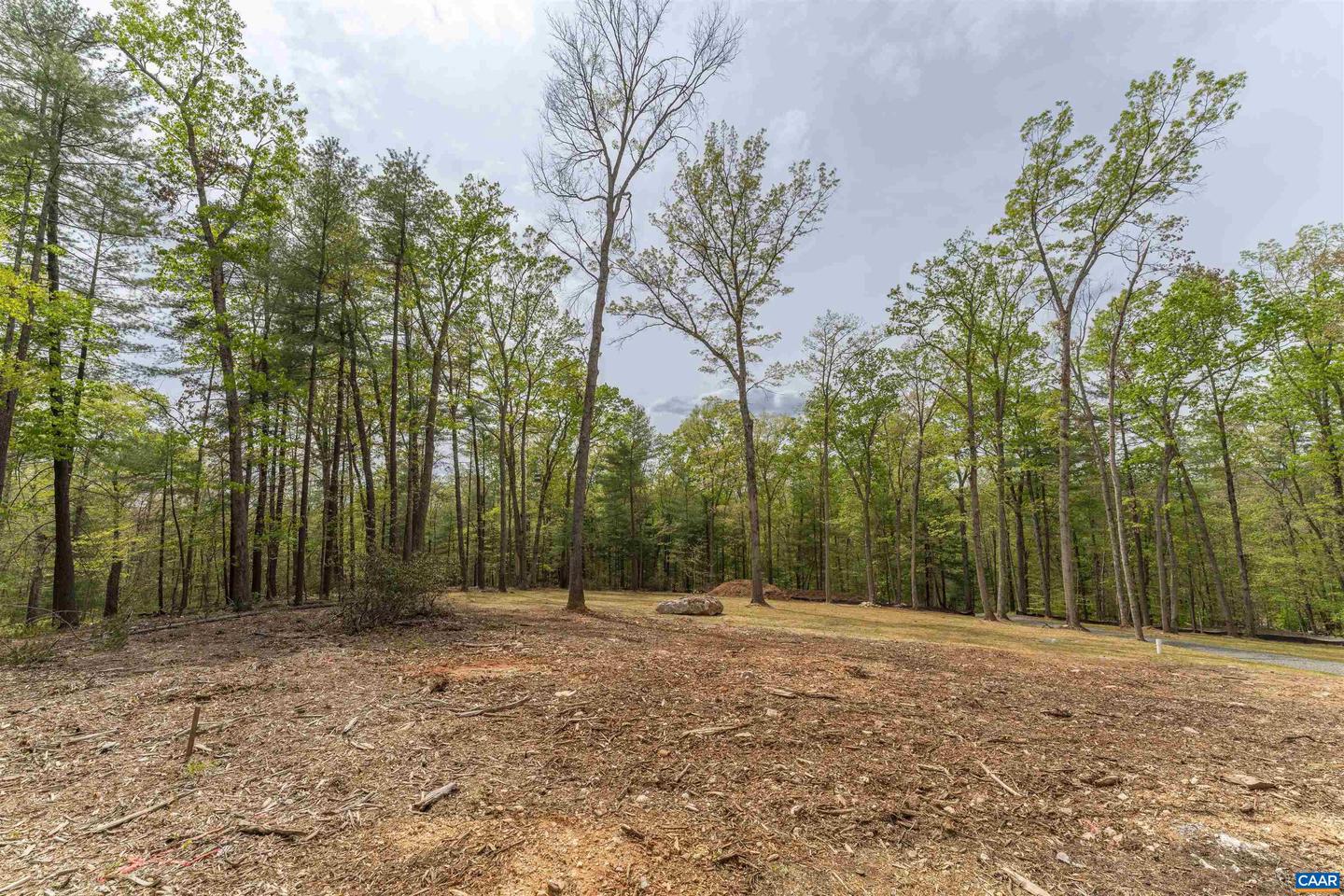 PARCEL 54 FREE UNION RD, CHARLOTTESVILLE, Virginia 22901, ,Land,For sale,PARCEL 54 FREE UNION RD,660679 MLS # 660679