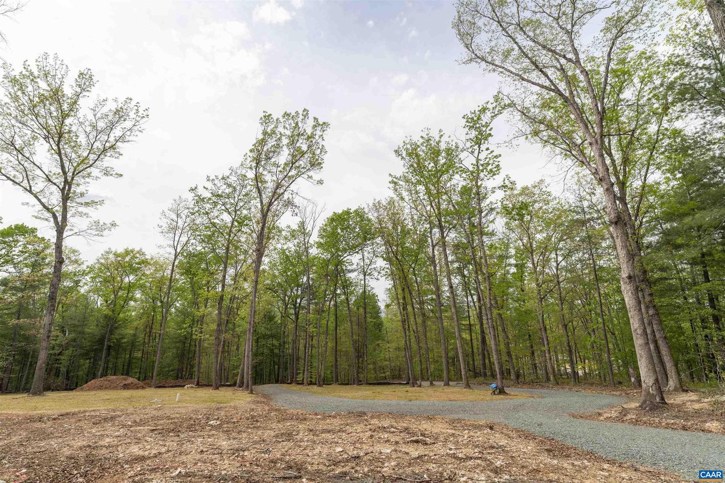 PARCEL 54 FREE UNION RD, CHARLOTTESVILLE, Virginia 22901, ,Land,For sale,PARCEL 54 FREE UNION RD,660679 MLS # 660679